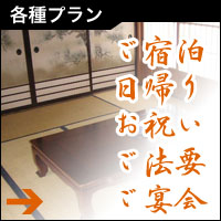 �e��v����